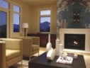 FUSION FIRE PLACE - 2